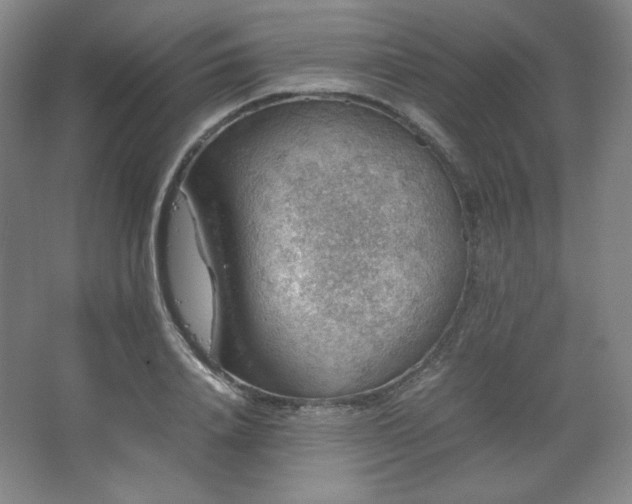 X0000067460840200604071126