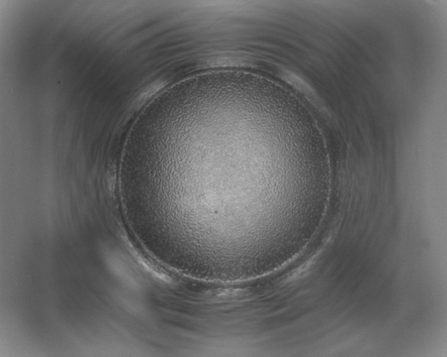 X0000067460841200604071126