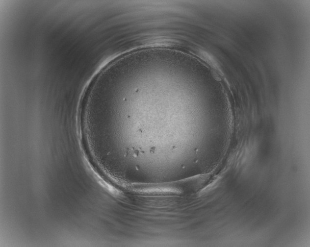 X0000067460843200604071126