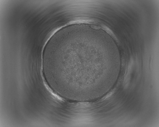 X0000067460844200604071126