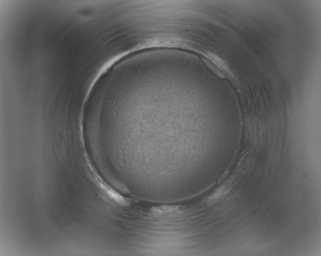 X0000067460846200604071126