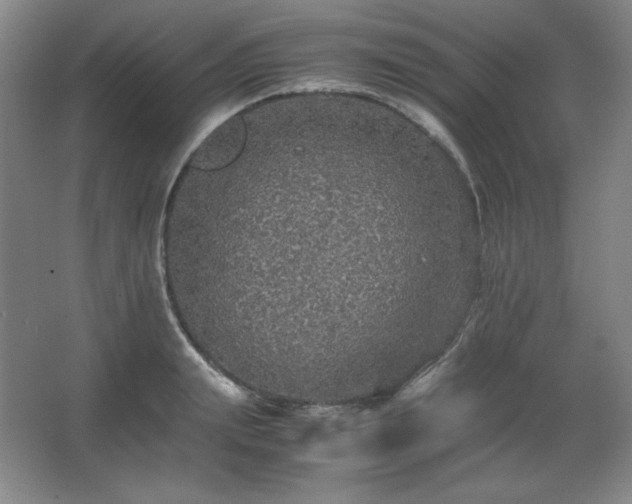 X0000067460847200604071126