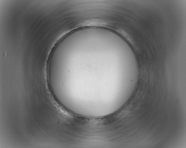 X0000067460848200604071126