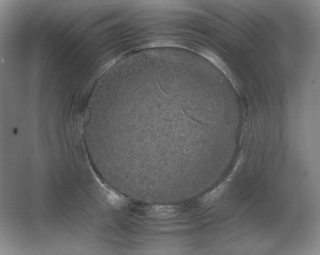 X0000067460849200604071126