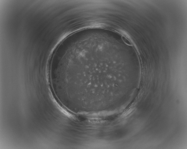 X0000067460851200604071126