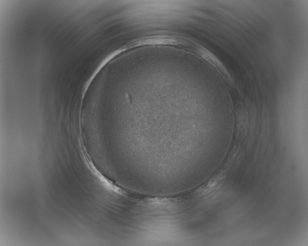 X0000067460852200604071126