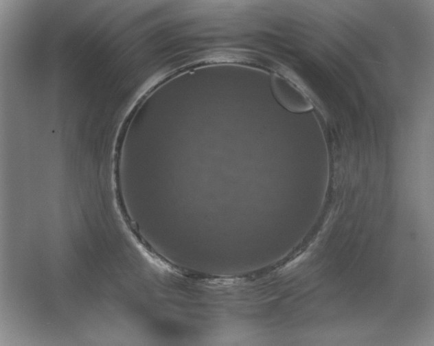 X0000067460853200604071126