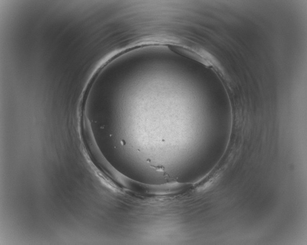 X0000067460854200604071126