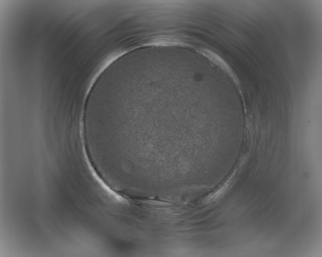 X0000067460855200604071126