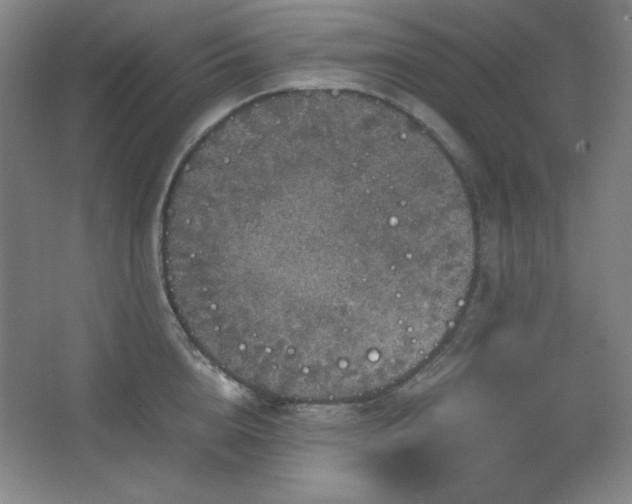 X0000067460856200604071126