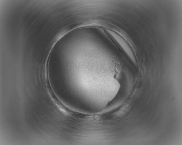 X0000067460858200604071126