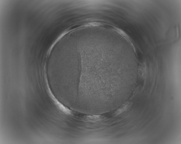 X0000067460859200604071126