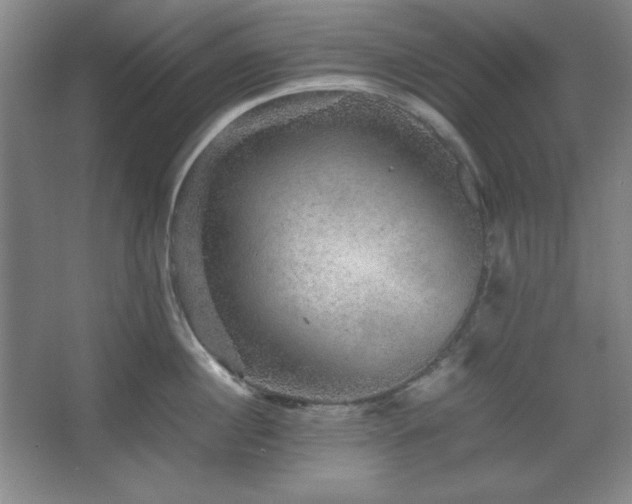 X0000067460860200604071126