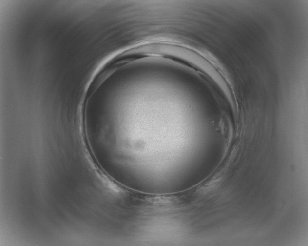 X0000067460862200604071126