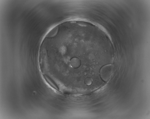 X0000067460863200604071126