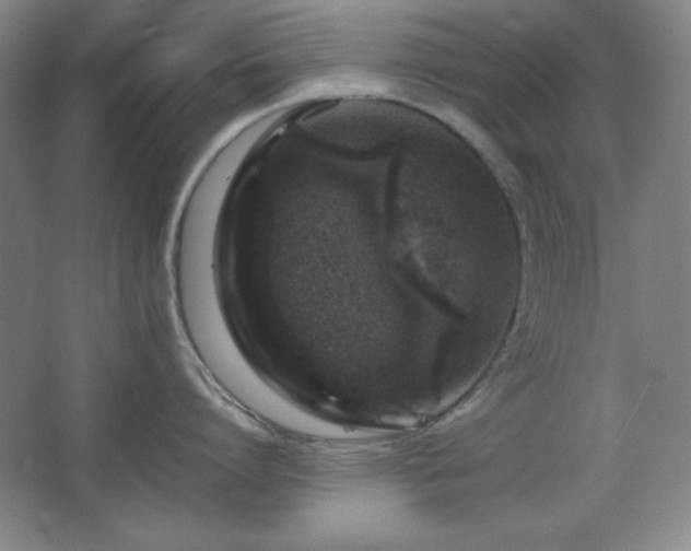 X0000067460864200604071126