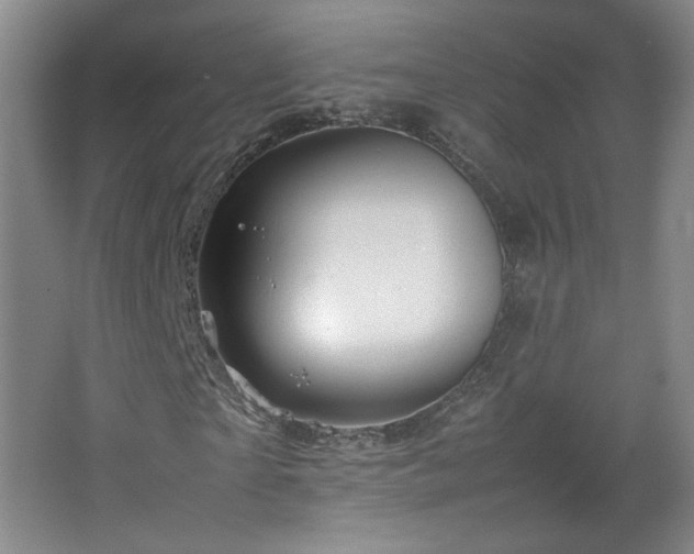 X0000067460865200604071125