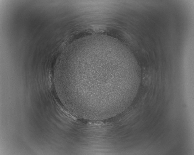 X0000067460866200604071125