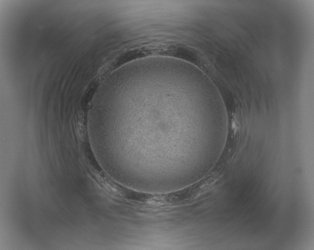 X0000067460867200604071125