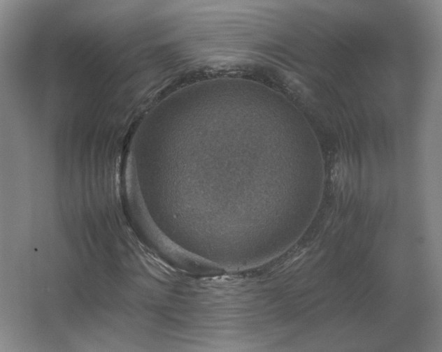 X0000067460868200604071125