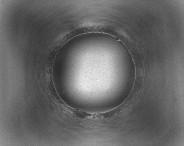 X0000067460869200604071125