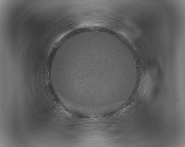 X0000067460871200604071125