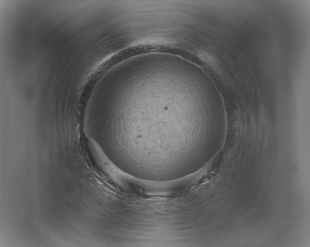 X0000067460872200604071125