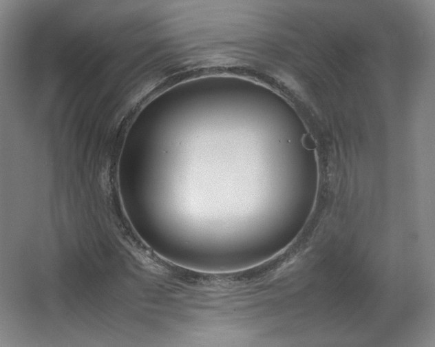 X0000067460873200604071125