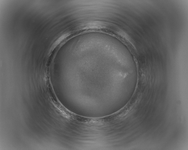 X0000067460874200604071125