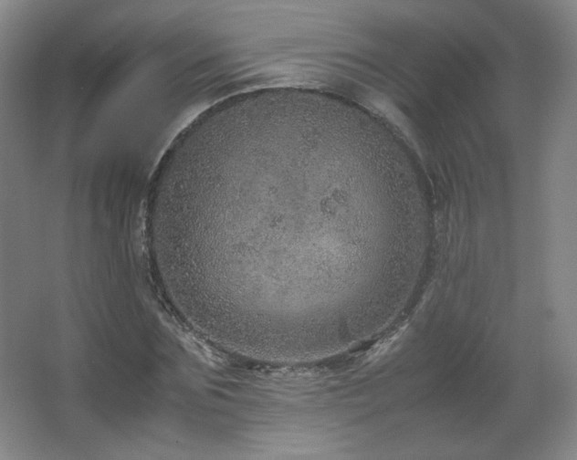 X0000067460875200604071125