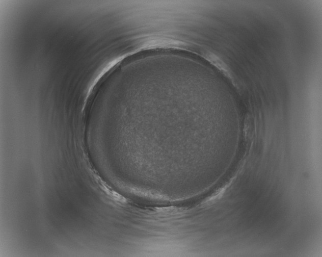 X0000067460877200604071125