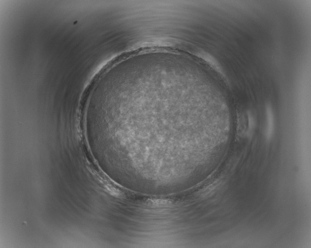 X0000067460878200604071125