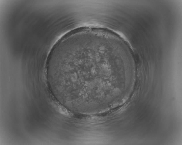 X0000067460879200604071125