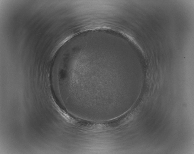 X0000067460881200604071125