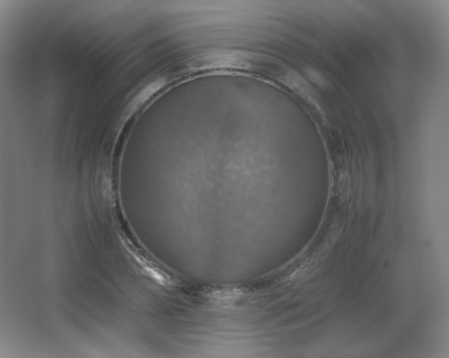 X0000067460882200604071125