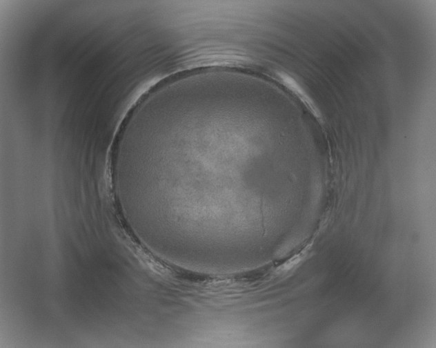 X0000067460883200604071125