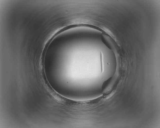 X0000067460885200604071125