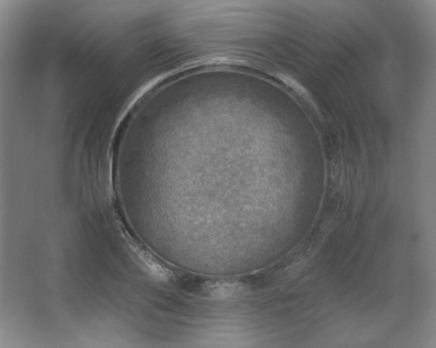 X0000067460886200604071125