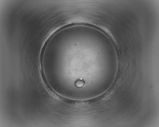 X0000067460887200604071125