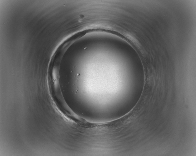 X0000067460888200604071125