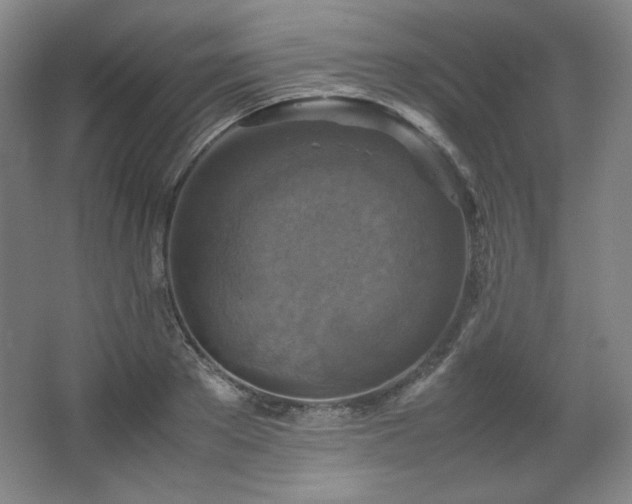 X0000067460889200604071125