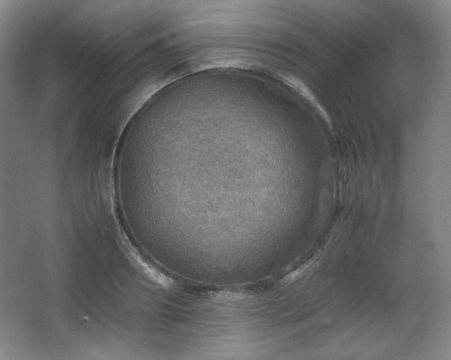 X0000067460890200604071125