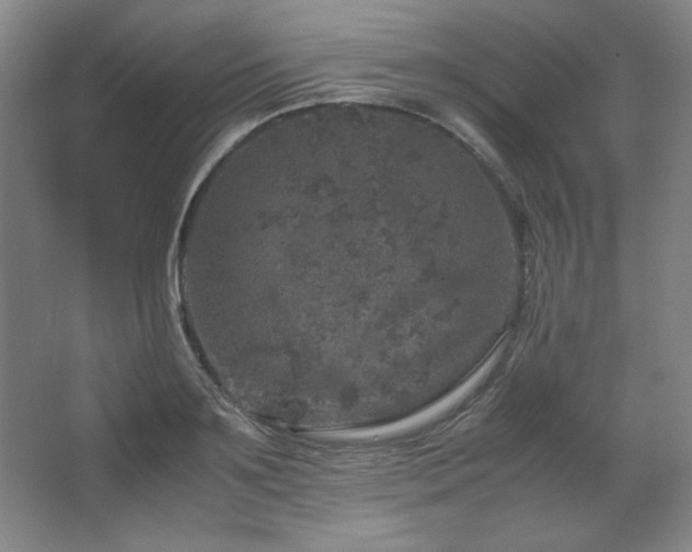 X0000067460891200604071125