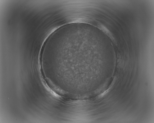 X0000067460892200604071125