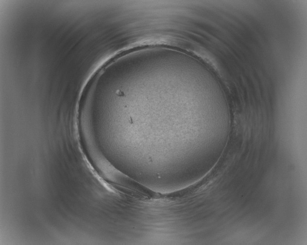 X0000067460894200604071125