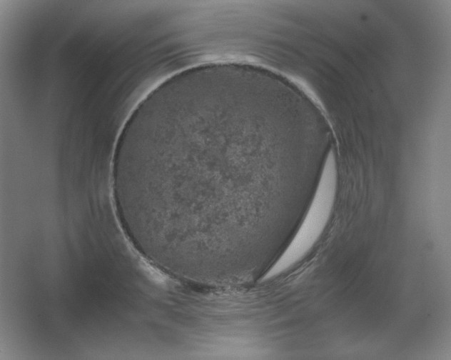 X0000067460895200604071125