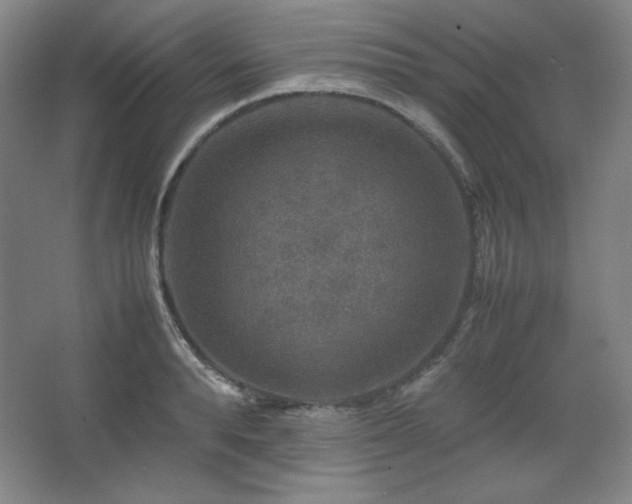 X0000067460896200604071125