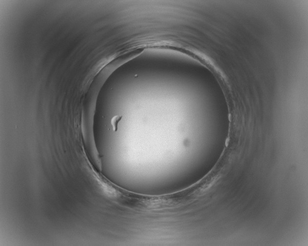 X0000067460897200604071125