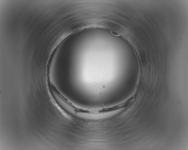 X0000067460898200604071125