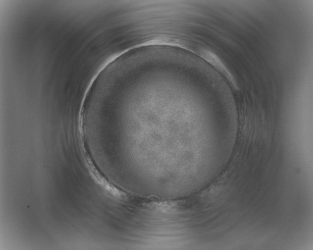 X0000067460900200604071125